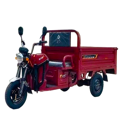 Electric tricycle - BT2700DZH-4